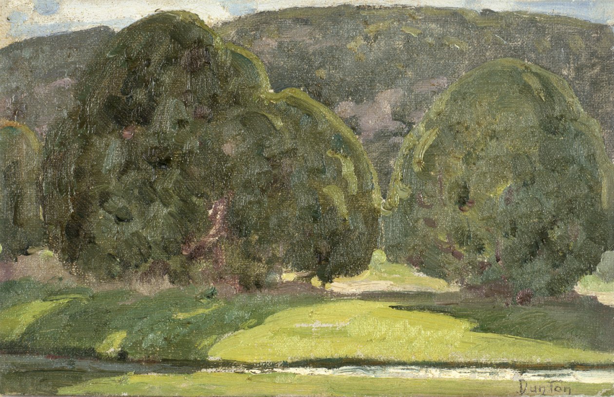 सूर्य के प्रकाश और देवदार, c.1933 द्वारा विलियम हर्बर्ट बक डनटन