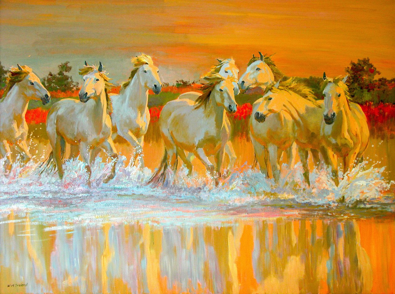 Camargue द्वारा विलियम आयरलैंड