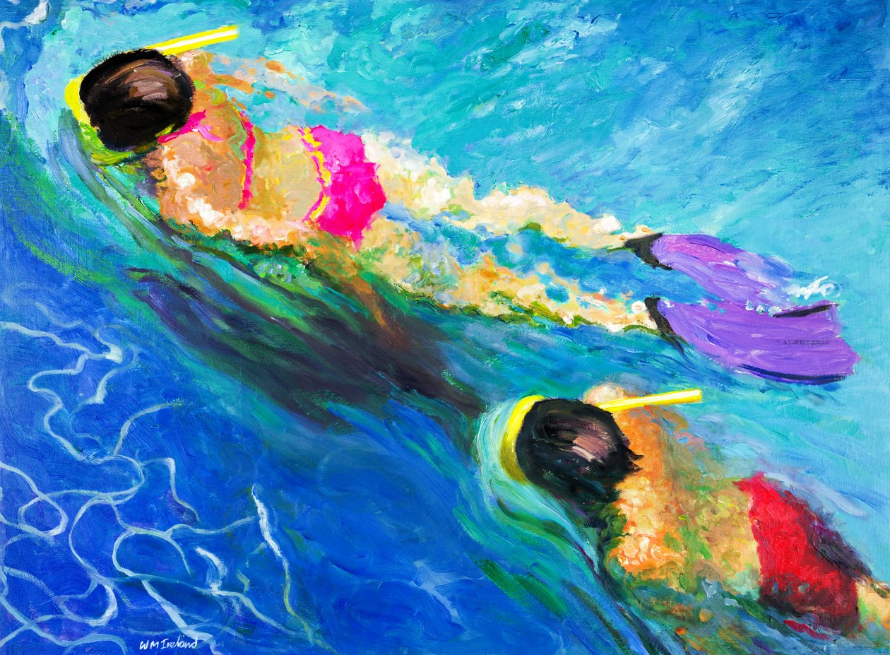 पीछा, 2005 द्वारा विलियम आयरलैंड