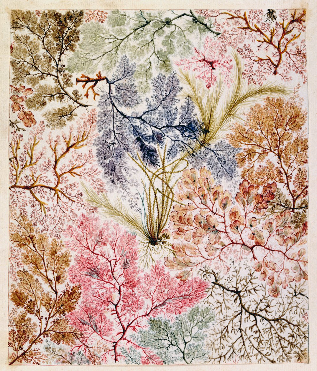 टेक्सटाइल डिज़ाइन, c.1788-92 द्वारा विलियम किलबर्न