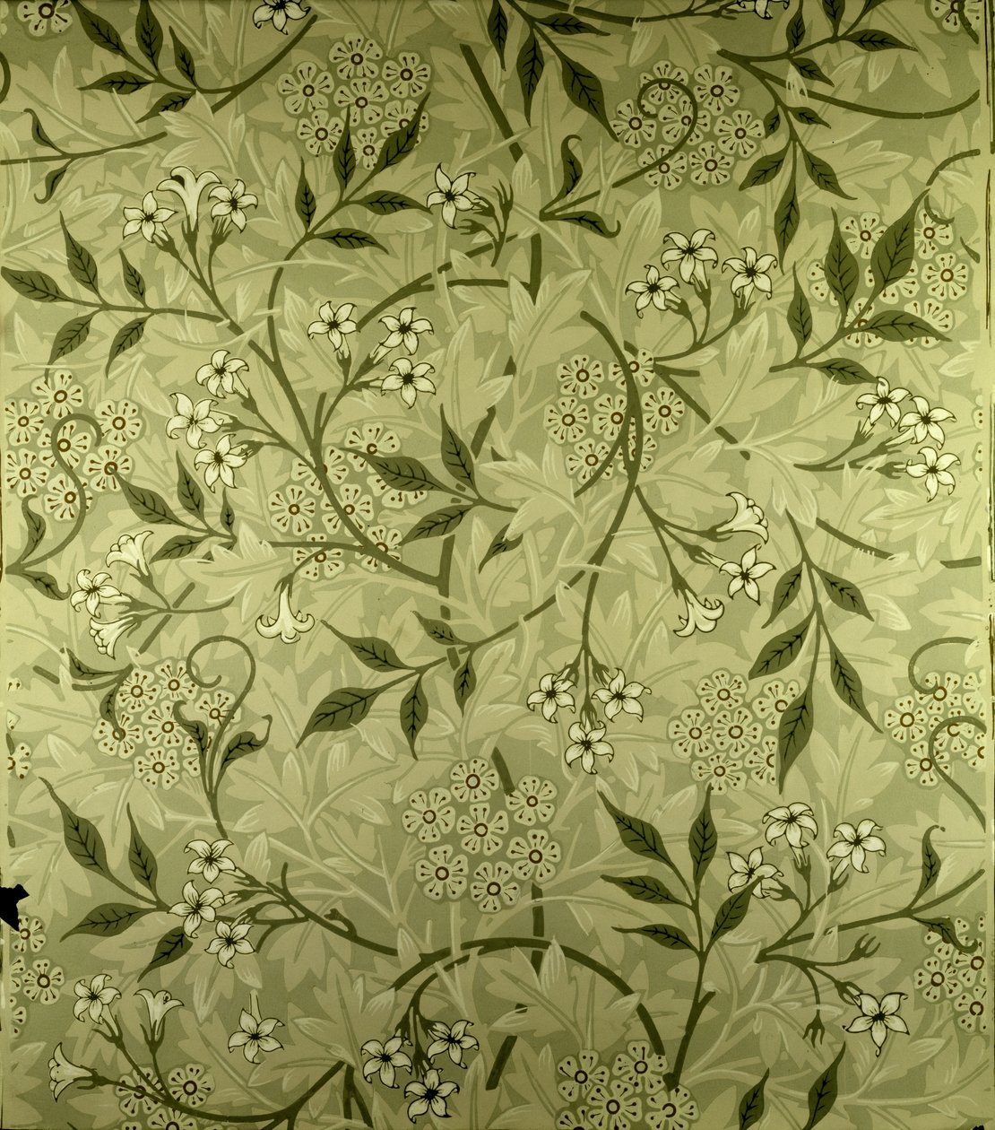 &39;जैस्मीन&39; वॉलपेपर डिज़ाइन, 1872 द्वारा विलियम मॉरिस