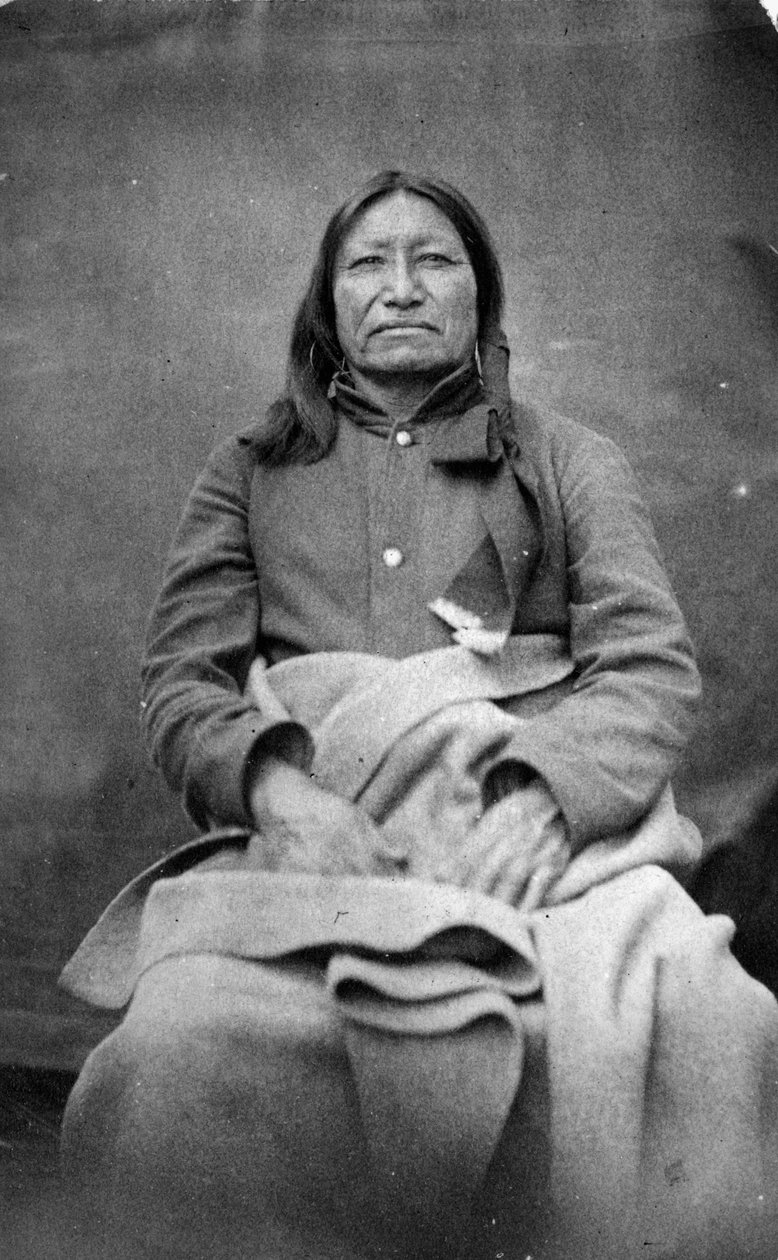 स्पॉटेड टेल, सिओक्स चीफ, c.1870 द्वारा विलियम रिचर्ड क्रॉस
