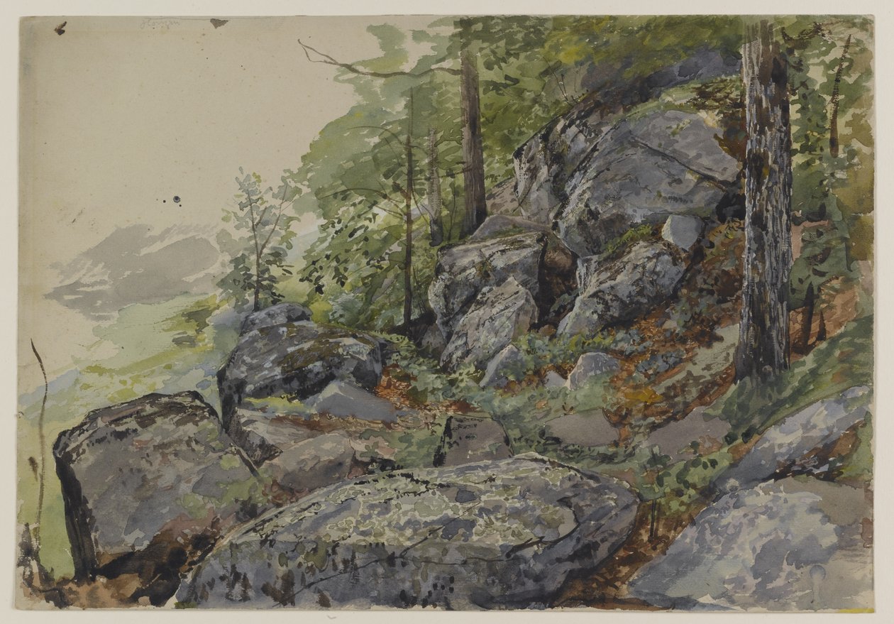वुडलैंड बोल्डर, c.1877-78 (बनावट वाले वोव पेपर पर ग्रेफाइट से अधिक) द्वारा विलियम ट्रॉस्ट रिचर्ड्स