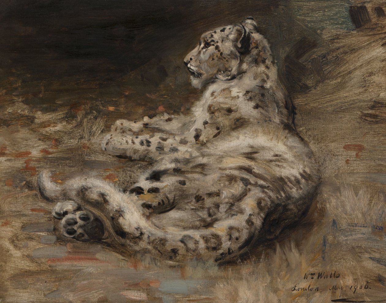एक तेंदुआ, 1906 द्वारा विलियम वाल्स