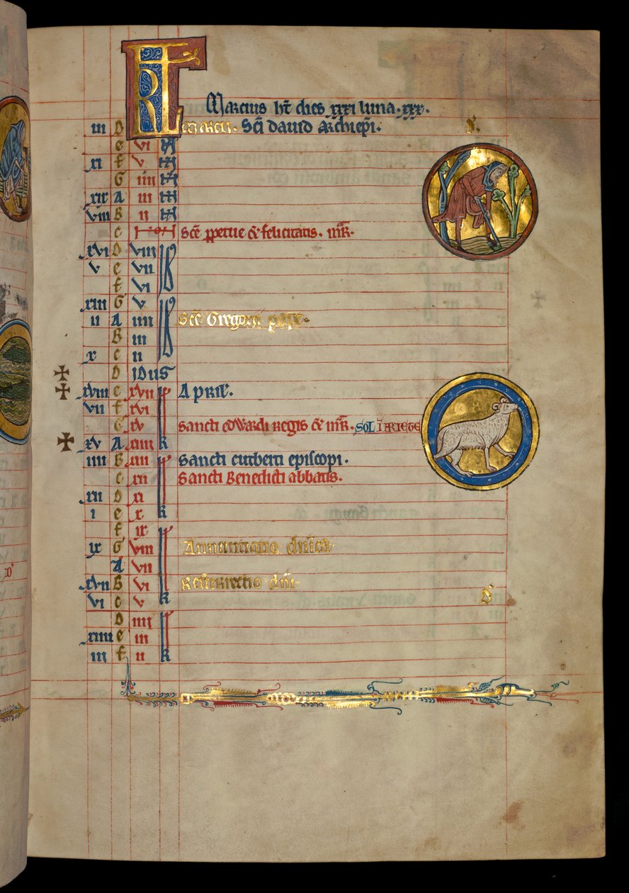 सुश्री 322 f.2r, मार्च, एक आदमी खुदाई, &39;डी Brales Psalter&39; से चित्रण, c.1250 द्वारा विलियम डी ब्रेलेस