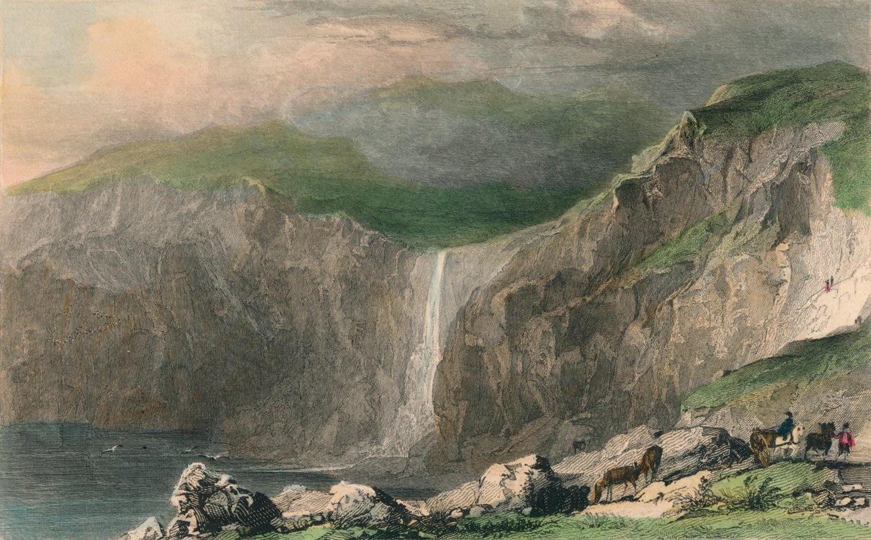 झरना और पत्थर की खदान, बोसकैसल के पास, 1832 द्वारा विलियम अलेक्जेंडर ले पेटिटा