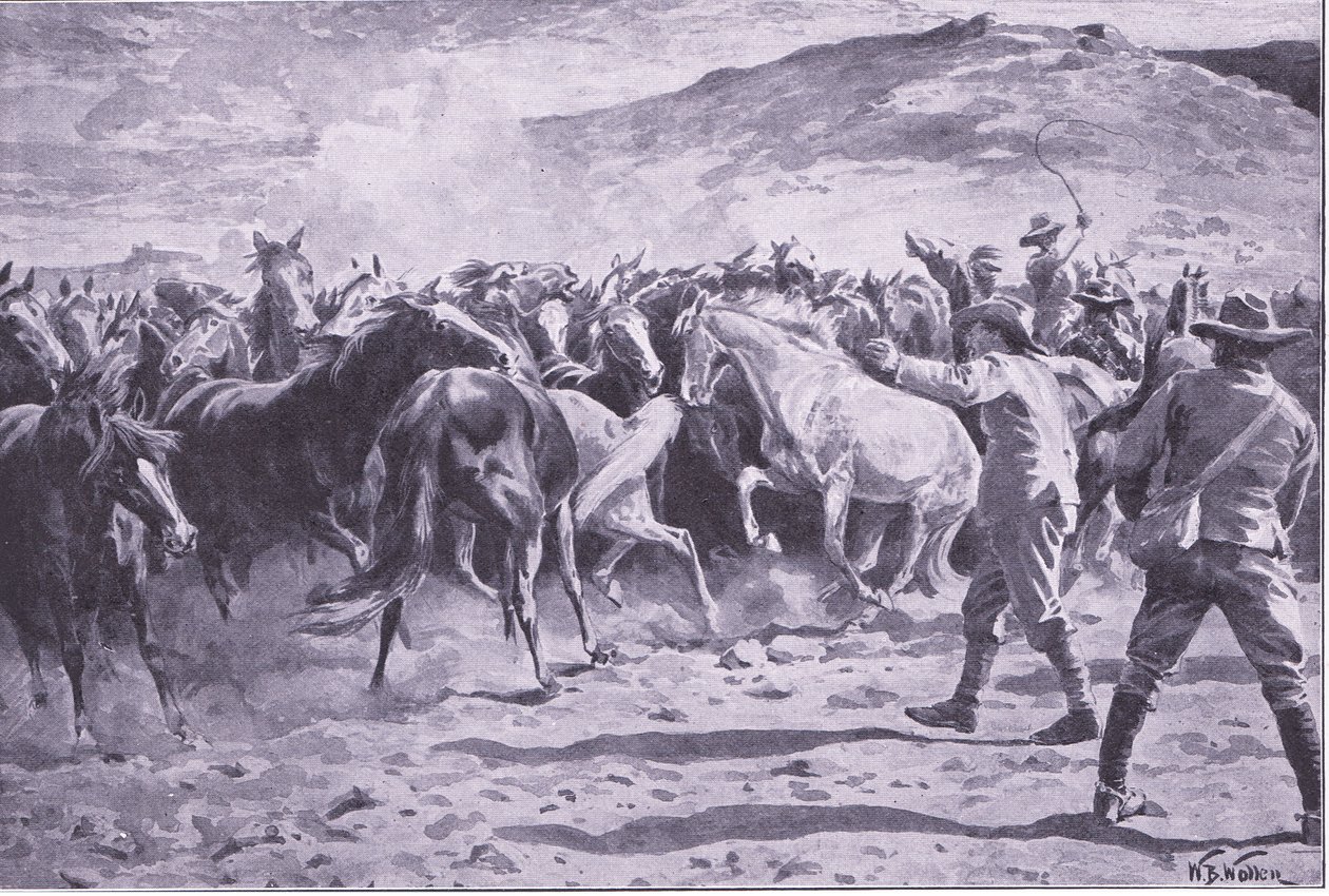 फोर्ब्सबर्ग के पास ब्रैंडवाटर जिले में घोड़ों का कब्जा: चौराहे का चक्कर लगाना, इसके बाद का चित्रण प्रिटोरिया: द गुरिल्ला वॉर, 1902 द्वारा विलियम बार्न्स ऊन