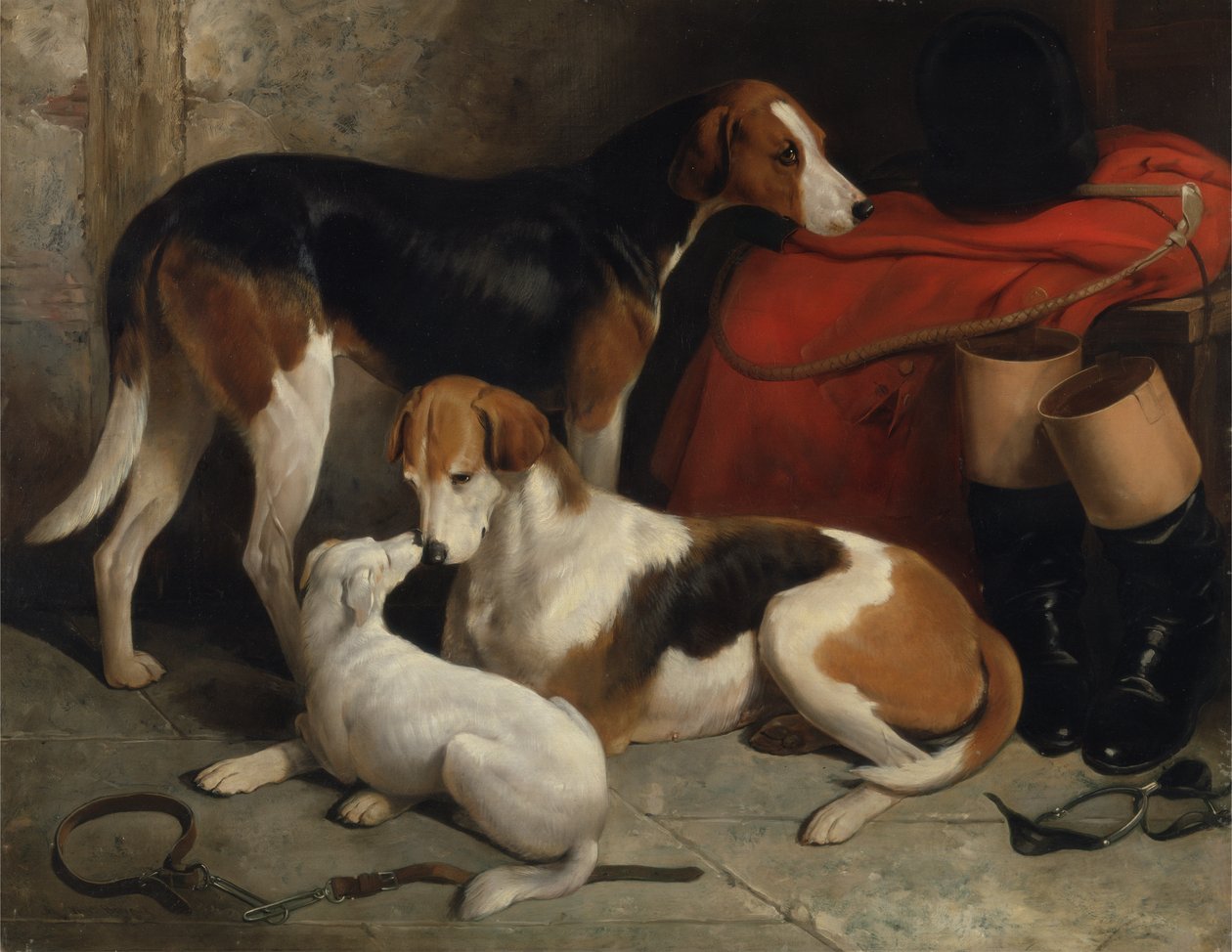 टेरियर के साथ लॉर्ड हेनरी बेंटिक के फॉक्सहाउंड्स का एक जोड़ा, c.1845 (कैनवास पर तेल) द्वारा विलियम बैरड
