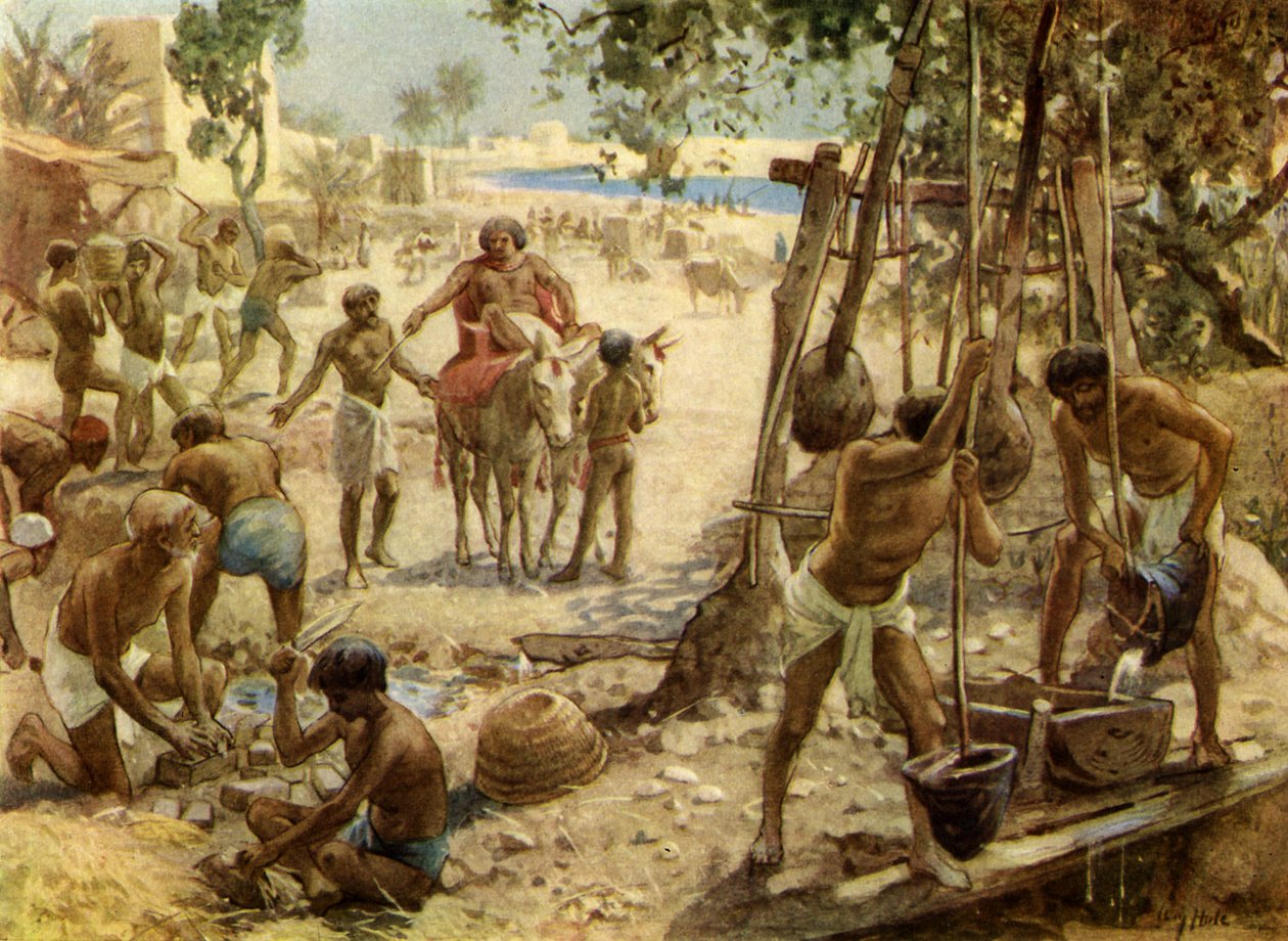  द्वारा विलियम ब्रासी होल