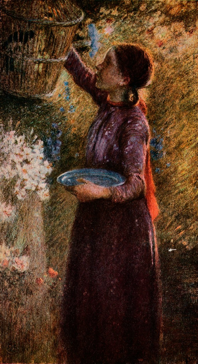 द बर्ड केज, c1900, 1918 द्वारा विलियम एडवर्ड स्टॉट