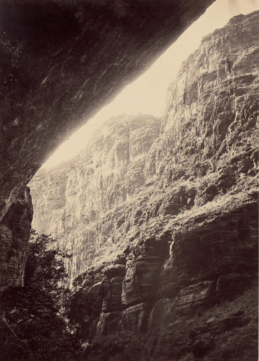 व्हीलर सर्वे, सीजन 1872, 1872। द्वारा विलियम एच। बेल