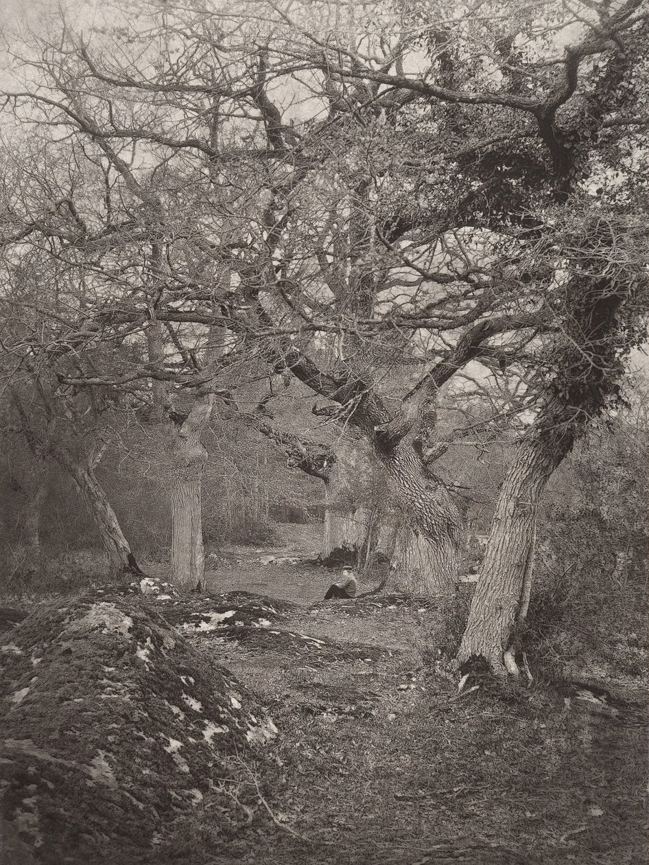 फॉनटेनब्लियू के वन, 1870 के दशक। द्वारा विलियम हैरिसन