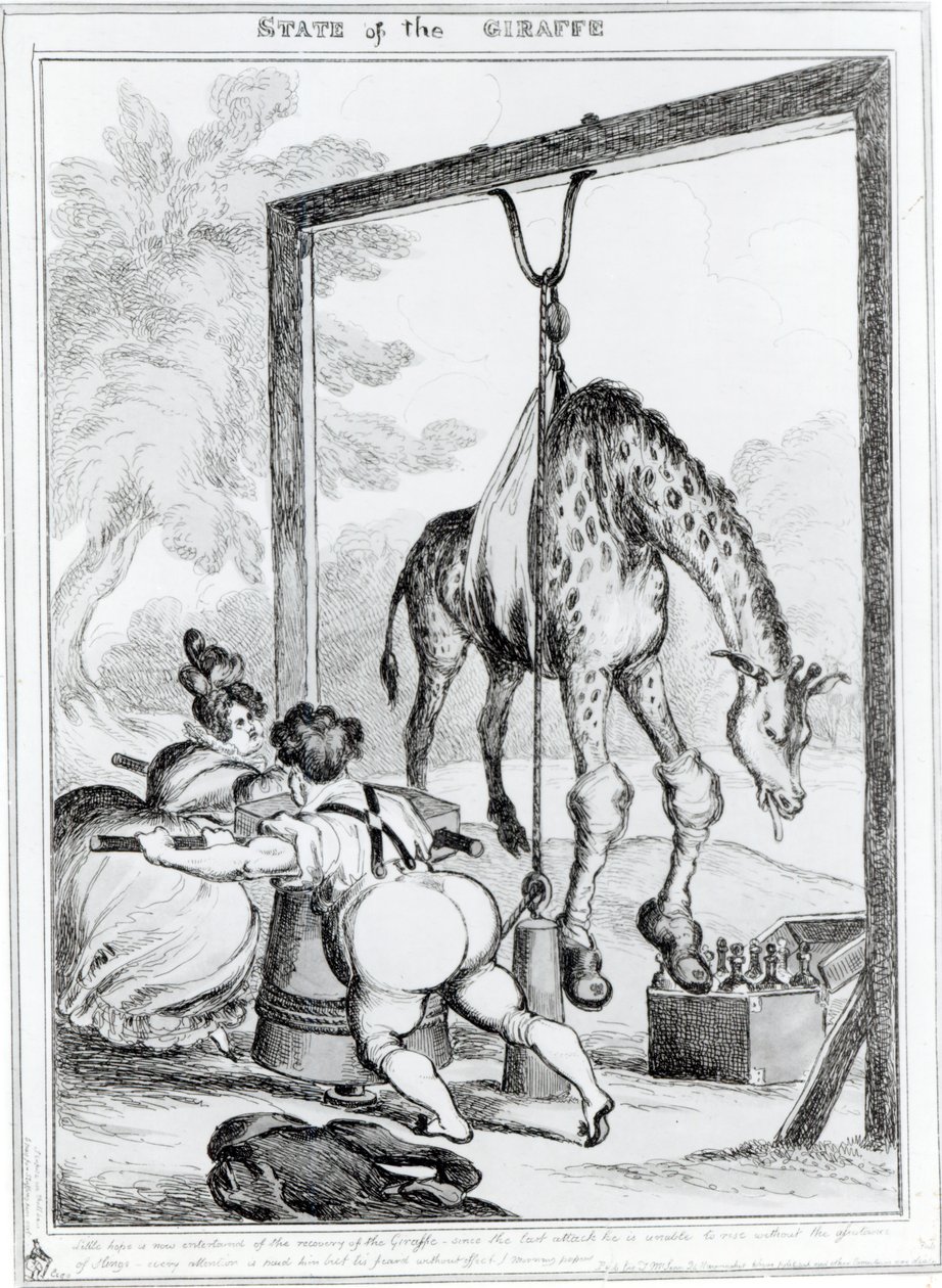 जिराफ का राज्य, 1829 द्वारा विलियम हीथ