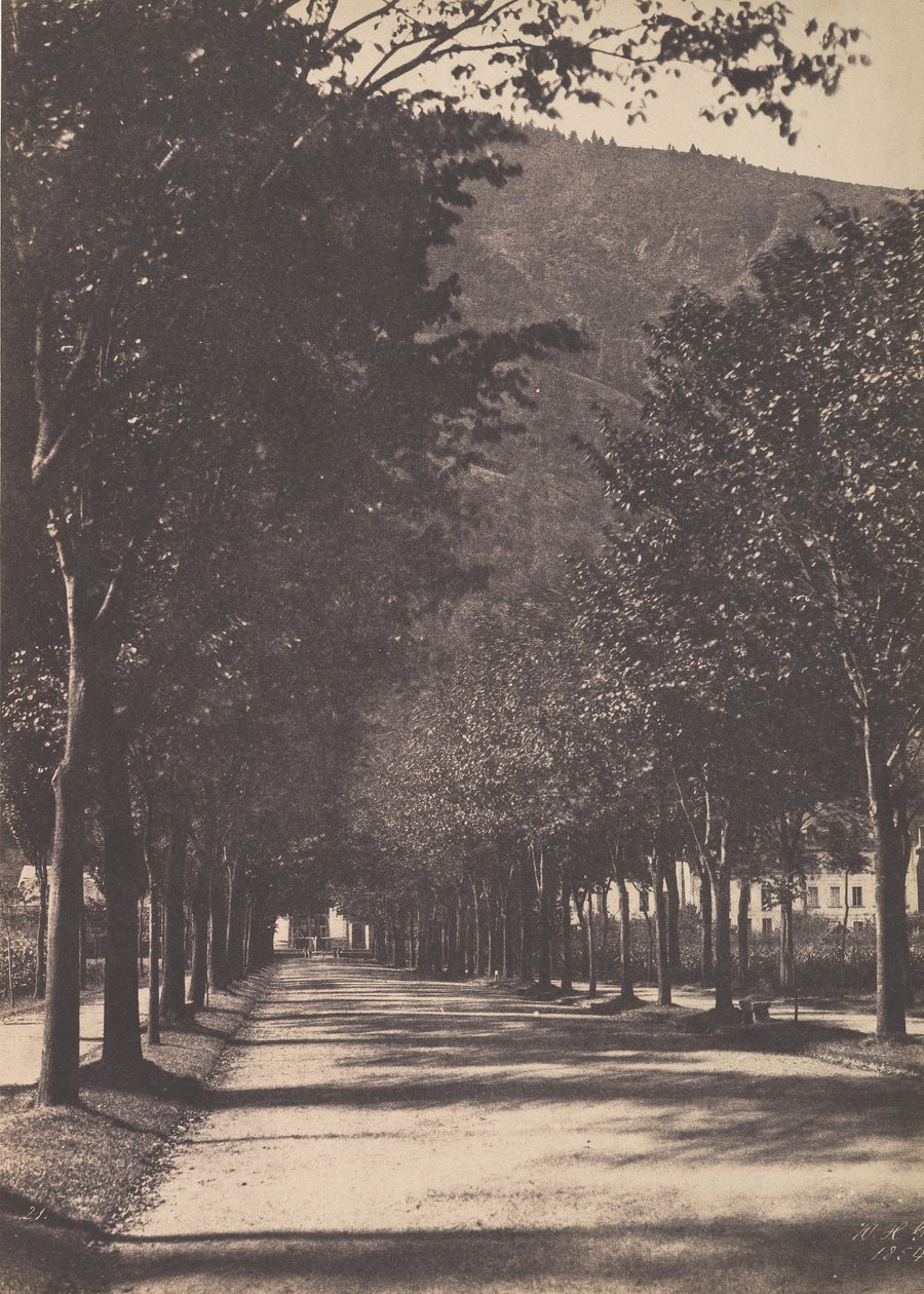 पेड़ों की गली, पऊ, 1854। द्वारा विलियम हेनरी गेभार्ड