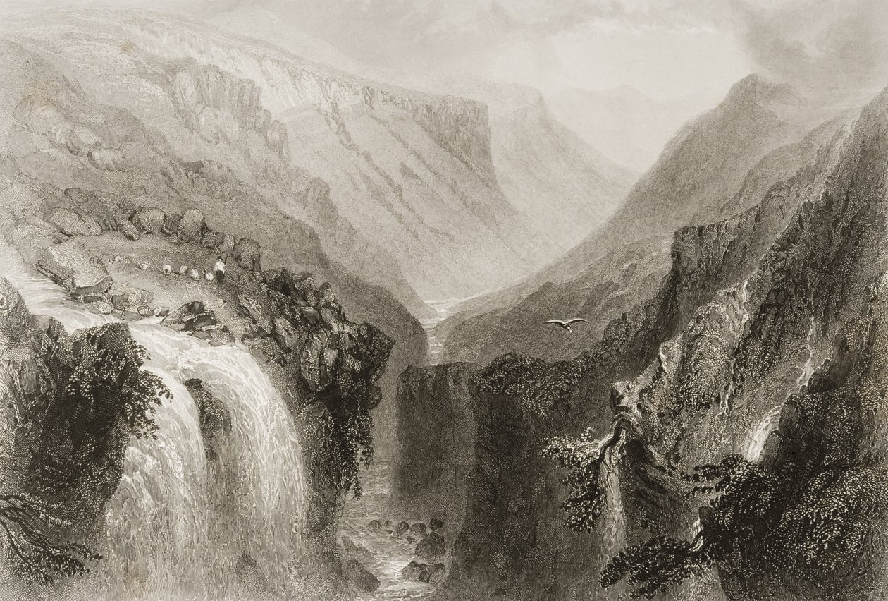 जॉर्ज पुण्य, 1860 के दशक के &39;सीन एंड एंटिक्विटीज़&39; से ग्लेनमल्योर, काउंटी विकलो के प्रमुख द्वारा विलियम हेनरी बार्टलेट