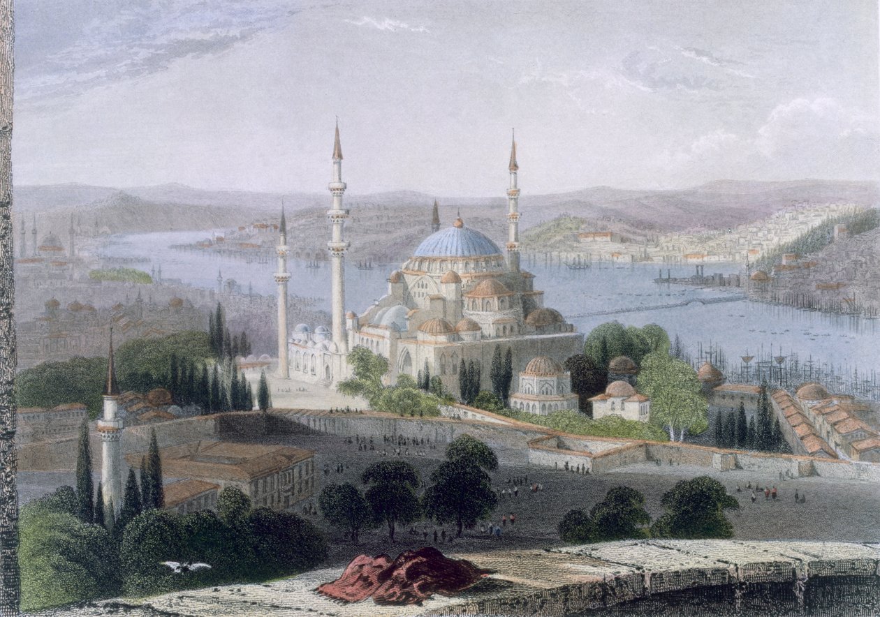 मस्जिद और सुलेमान का मकबरा, c.1850 (रंगीन जलीय) द्वारा विलियम हेनरी बार्टलेट