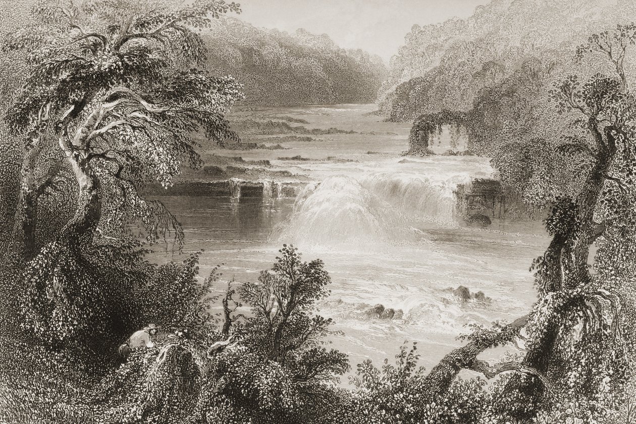 जॉर्ज पुण्य, 1860 के दशक के लिक्सलिप, काउंटी किल्डारे के सामन लीप, &39;दृश्य और प्राचीन वस्तुएँ आयरलैंड से&39; द्वारा विलियम हेनरी बार्टलेट