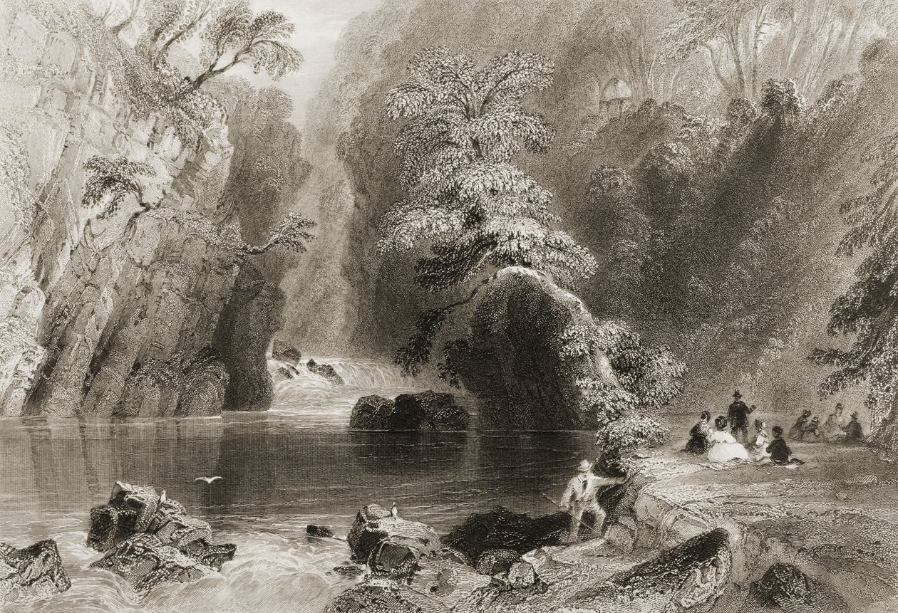 डार्ल नदी, काउंटी विक्लो, जॉर्ज पुण्य, 1860 के दशक के &39;दृश्यों और प्राचीन वस्तुओं&39; से द्वारा विलियम हेनरी बार्टलेट