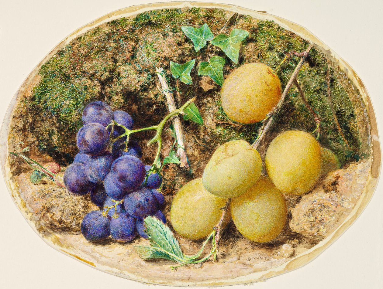गोल्डन ड्रॉप प्लम और काले अंगूर, c.1860 द्वारा विलियम हेनरी हंट