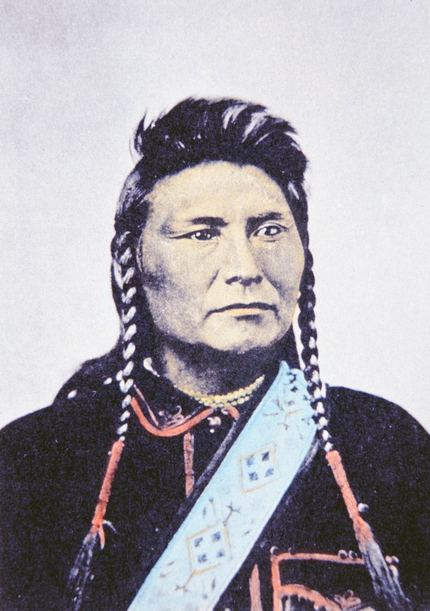 चीफ जोसेफ (1840-1904) 1878 (फोटो) द्वारा विलियम हेनरी जैक्सन
