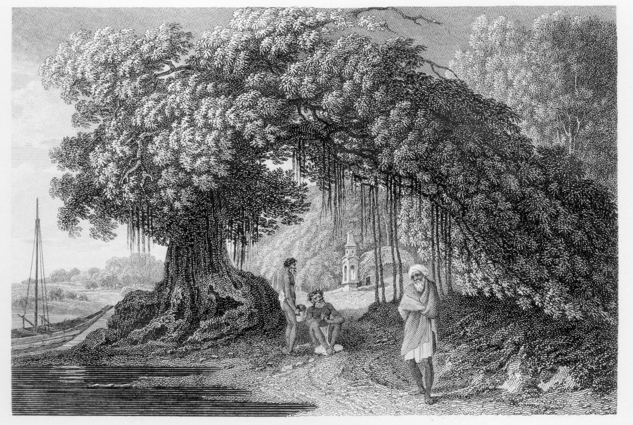 विलियम होजेस द्वारा &39;ट्रैवल्स इन इंडिया इन द इयर्स 1780-83&39; में एक बरगद का पेड़, जो बेंजामिन पॉन्सी (fl.1772-99) द्वारा उत्कीर्ण है, 1792 में प्रकाशित हुआ। द्वारा विलियम होजेस