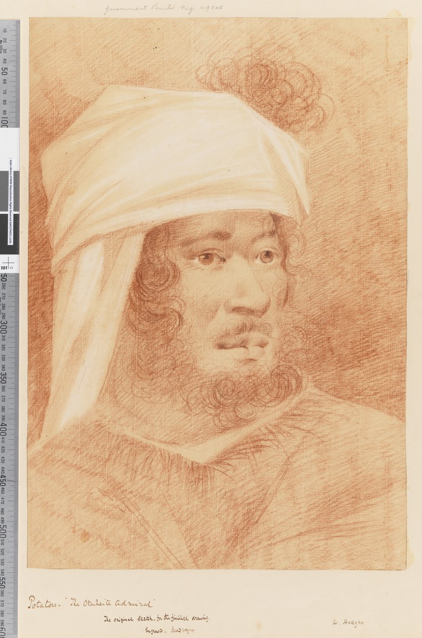 पृष्ठ 17 पोटाटो, ओटहाइट एडमिरल, 1768-75 (लाल और सफेद चाक) द्वारा विलियम होजेस