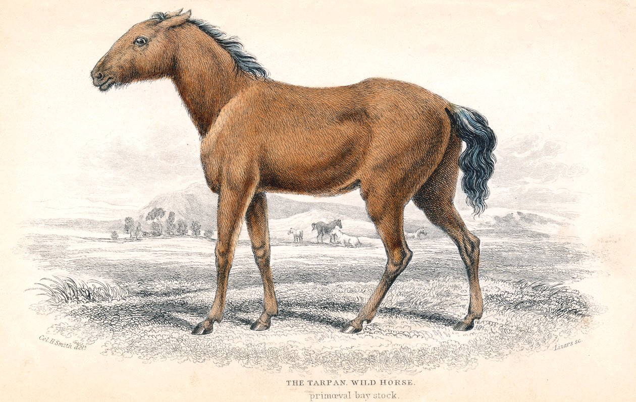 तर्पण, 1830 द्वारा विलियम होम लिज़र