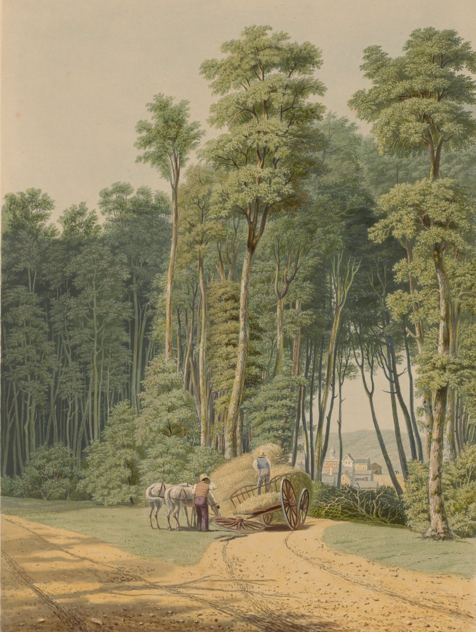 गर्मी - एक सड़क दुर्घटना। एक झलक के माध्यम से 'आदिम वन का उद्घाटन... 1841। द्वारा विलियम जेम्स बेनेट