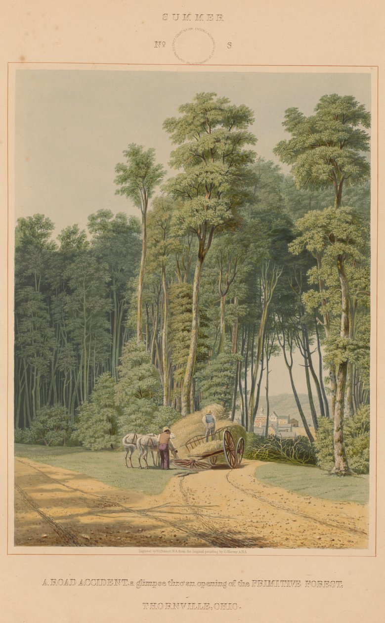 ग्रीष्म ऋतु--एक सड़क दुर्घटना। आदिम वन के उद्घाटन की एक झलक। थॉर्नविले, ओहियो द्वारा जॉर्ज हार्वे के बाद विलियम जेम्स बेनेट