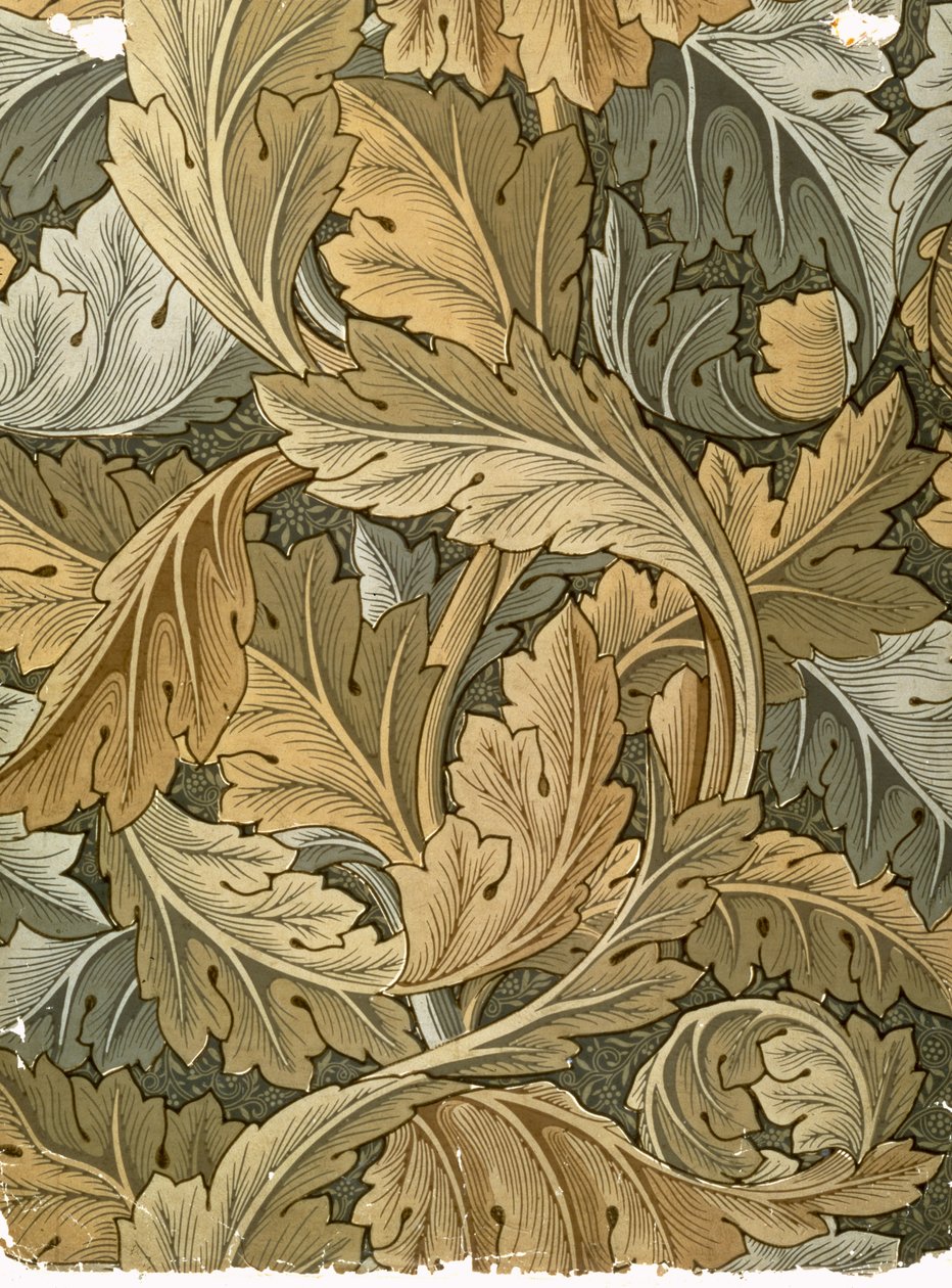 Acanthus वॉलपेपर, विलियम मॉरिस (1834-96), 1875 द्वारा डिज़ाइन किया गया द्वारा विलियम मॉरिस
