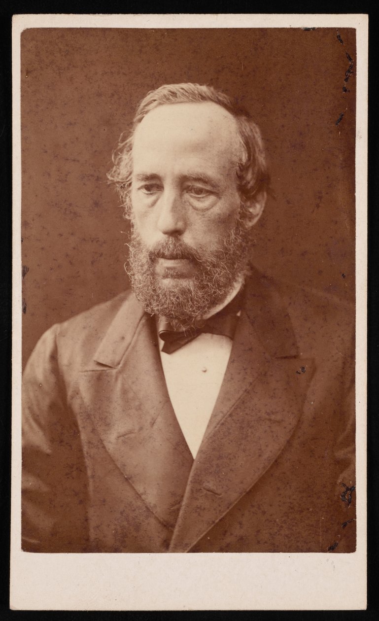 जेम्स क्रॉल का पोर्ट्रेट 1821-1890, 1876 से पहले। द्वारा विलियम नीलसन