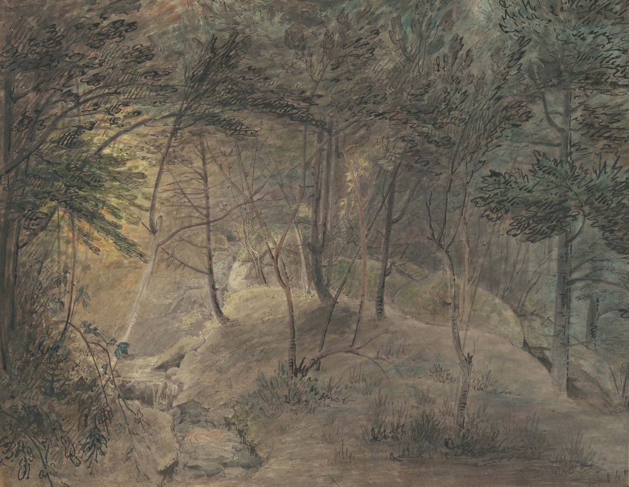 इको में स्प्रिंगहाउस से दृश्य, c.1808 (वाटर पेपर और स्याही पेपर पर स्याही) द्वारा विलियम रसेल बिर्च