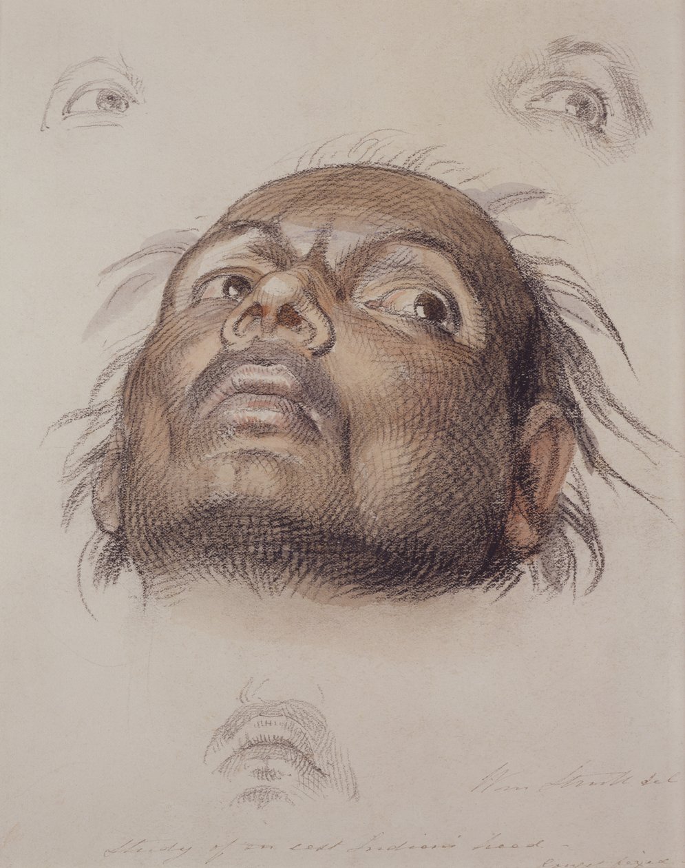 पूर्व भारतीय प्रमुख का अध्ययन, c.1875 (कागज पर क्रेयॉन और वॉश) द्वारा विलियम स्ट्रैट