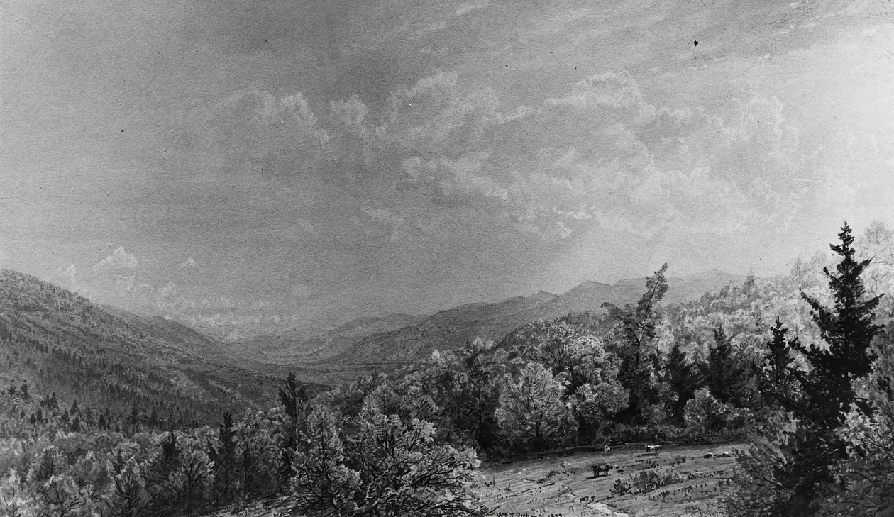 फ्लूम हाउस, फ्रैंकोनिया, न्यू हैम्पशायर, 1872 से। द्वारा विलियम ट्रॉस्ट रिचर्ड्स