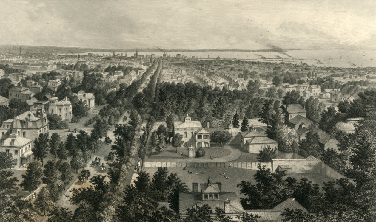 भैंस का शहर, 1872। द्वारा विलियम वेलस्टूड