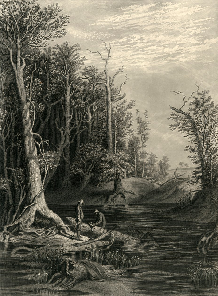 द चिकहोमिनी, 1872। द्वारा विलियम वेलस्टूड