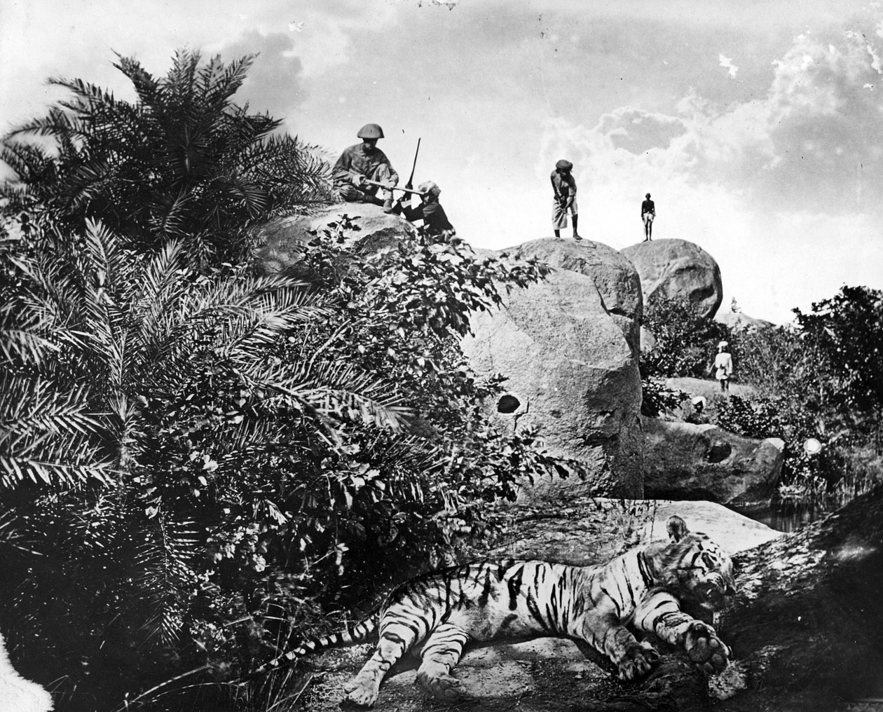 &39;बागी&39; - भारत में बाघ का शिकार, c.1870s द्वारा Willoughके द्वारा वालेस हूपर