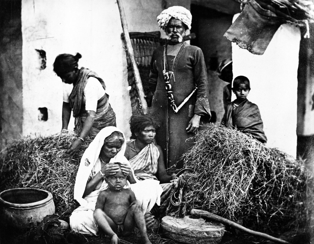 घास कटर, c.1860 द्वारा Willoughके द्वारा वालेस हूपर