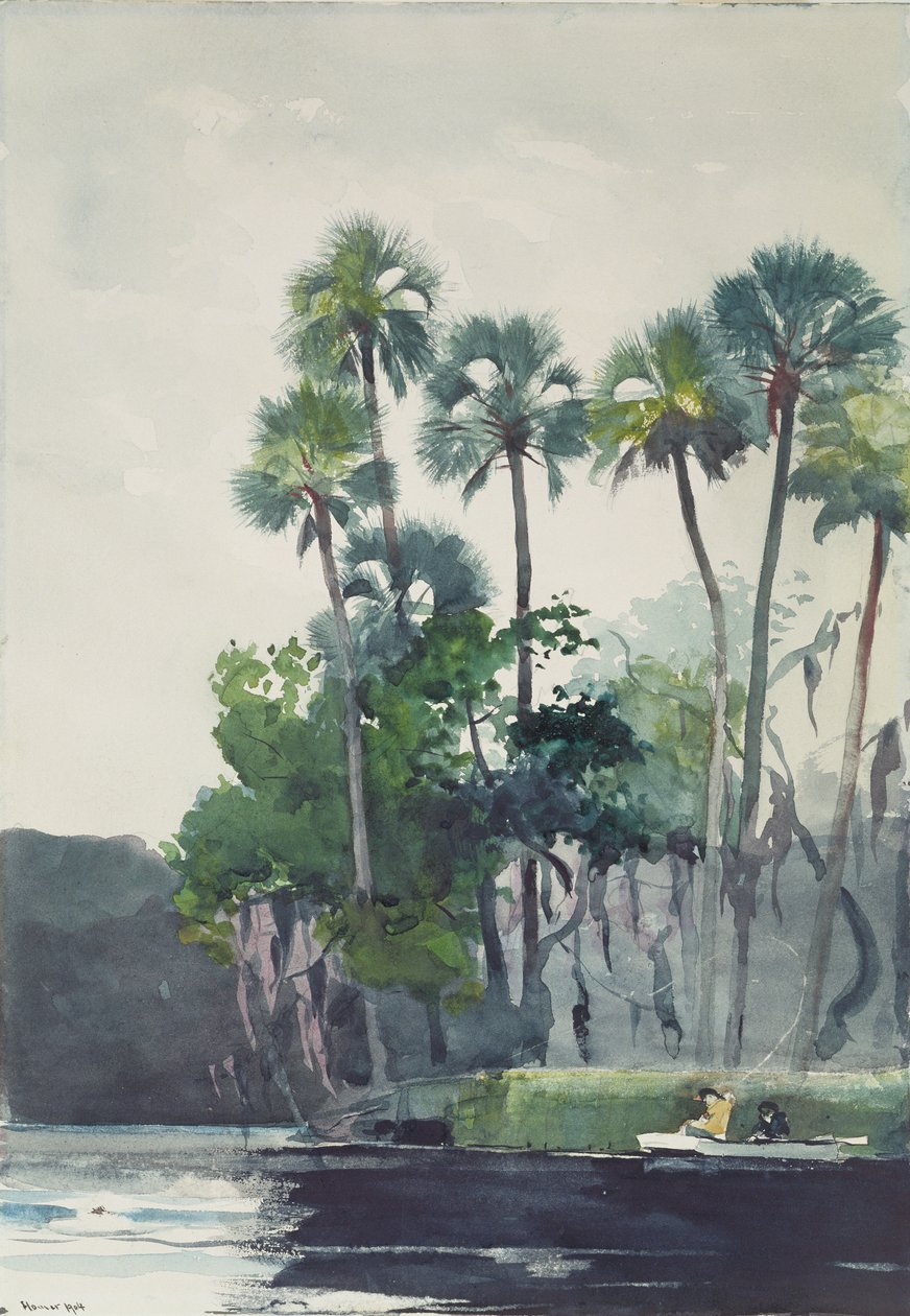 होमोसा नदी, 1904 द्वारा विंसलो होमर