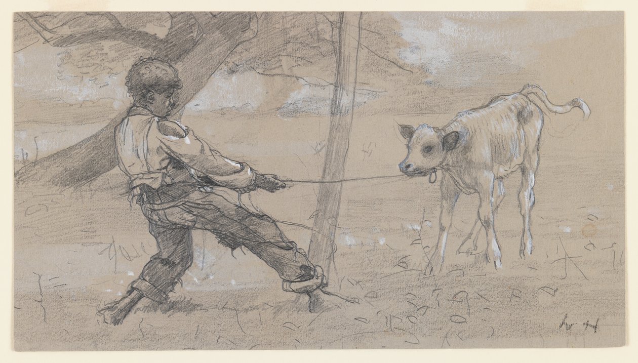 अनरूली बछड़ा, c.1875-76 (ग्रे वोव पेपर पर ग्रेफाइट और चीनी सफेद) द्वारा विंसलो होमर