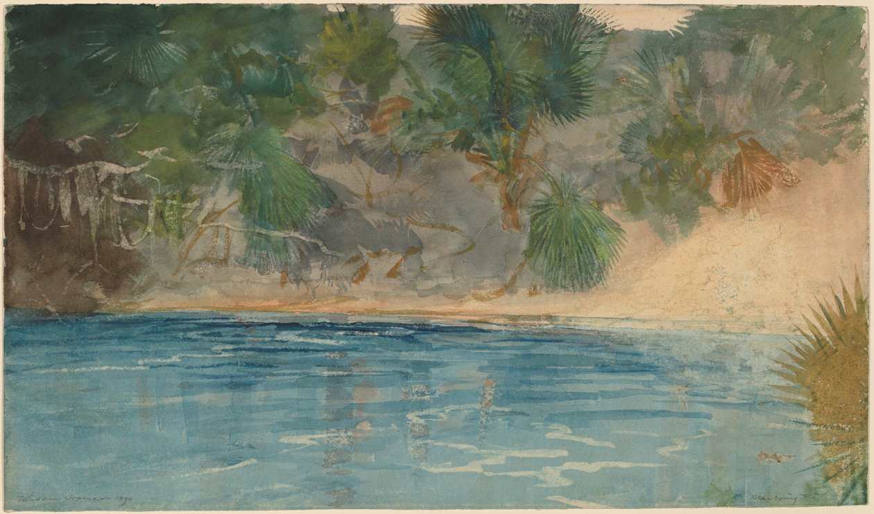 ब्लू स्प्रिंग, फ्लोरिडा, 1890। द्वारा विंसलो होमर