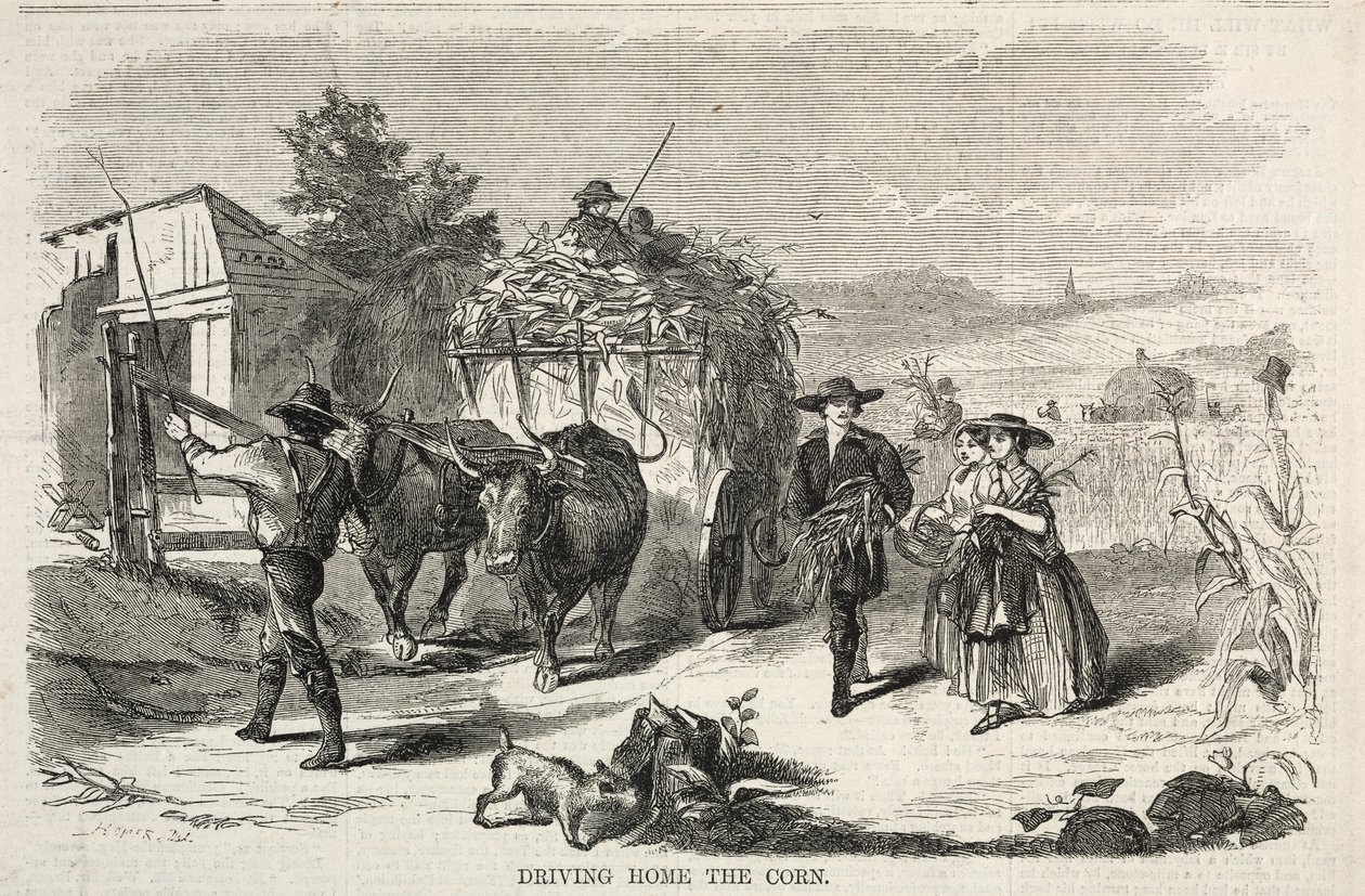 ड्राइविंग होम द कॉर्न, 1858। द्वारा विंसलो होमर