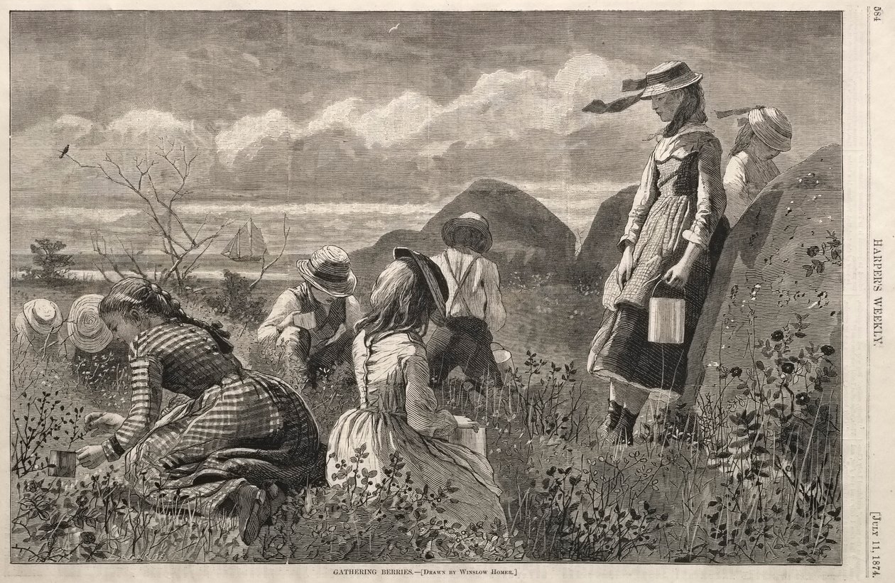 गैदरिंग बेरीज, 1874। द्वारा विंसलो होमर