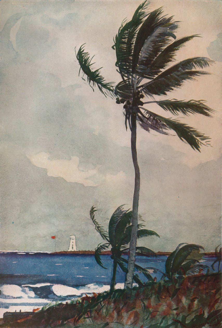पाम ट्री, नासाउ, 1898, 1932 द्वारा विंसलो होमर