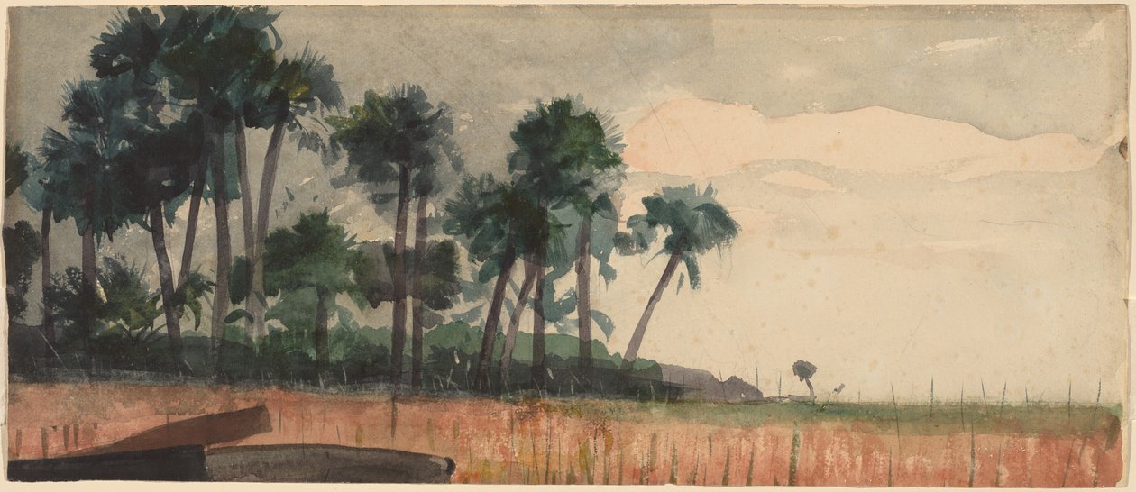 ताड़ के पेड़, लाल, 1890। द्वारा विंसलो होमर