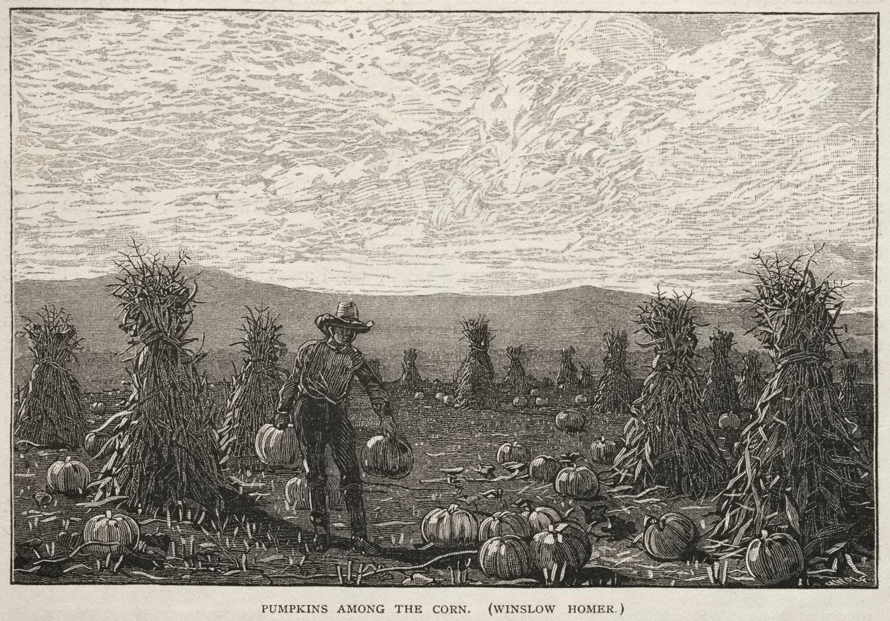 1878 में मकई के बीच कद्दू। द्वारा विंसलो होमर