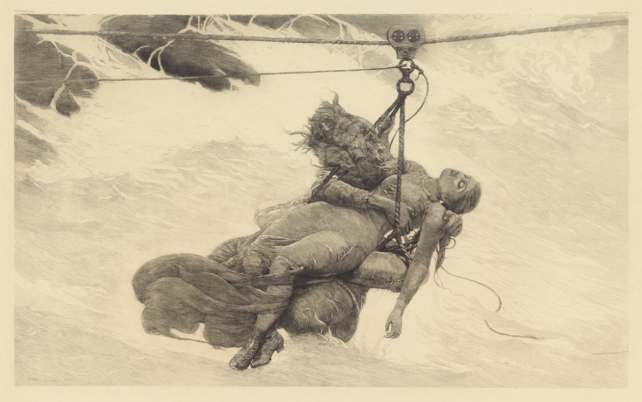 सहेजा गया, 1889 द्वारा विंसलो होमर