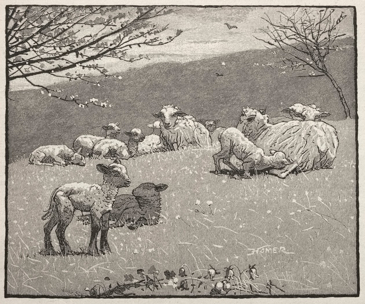 स्प्रिंग लैम्ब, 1880। द्वारा विंसलो होमर