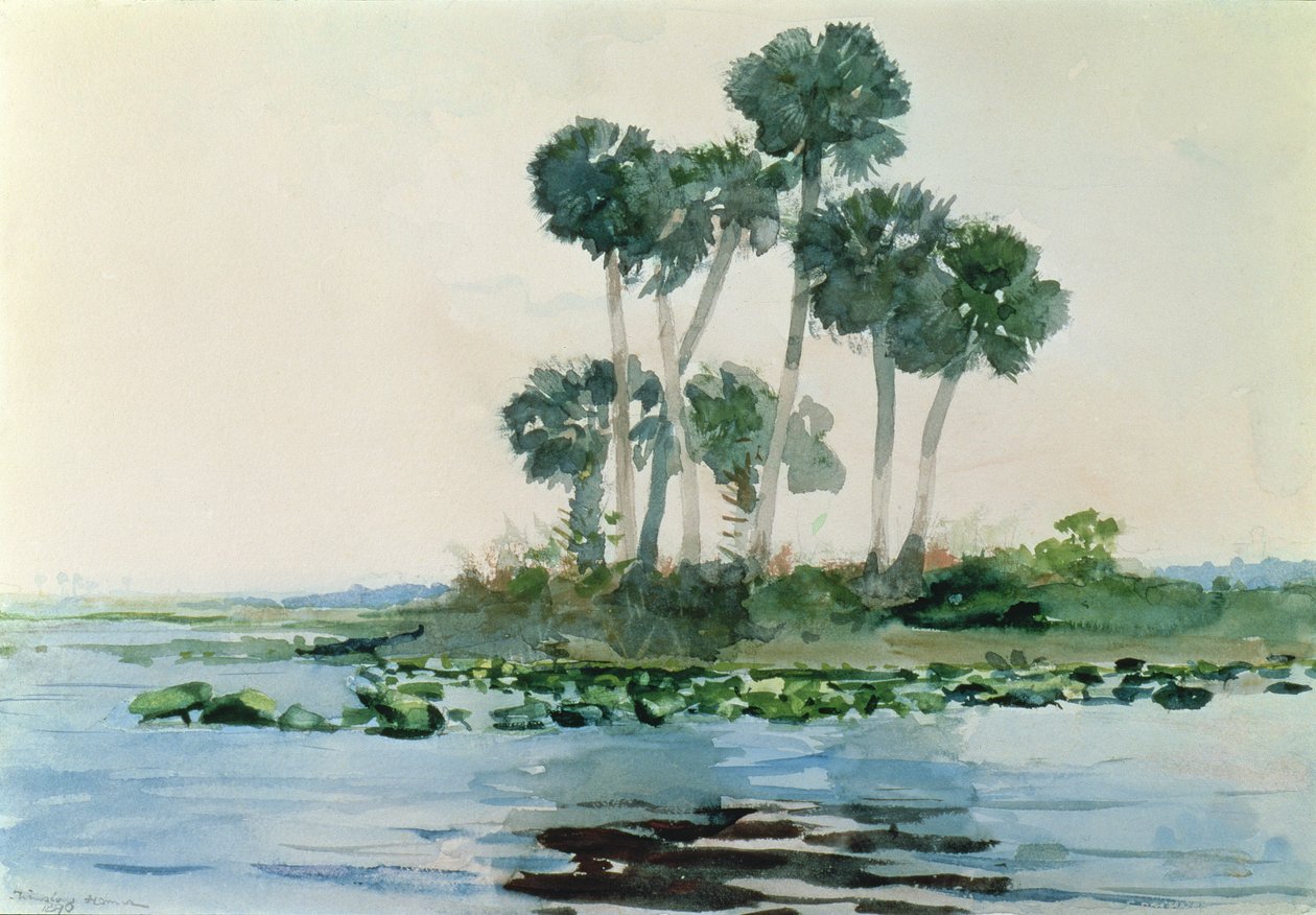सेंट जॉन नदी, फ्लोरिडा, 1890 द्वारा विंसलो होमर