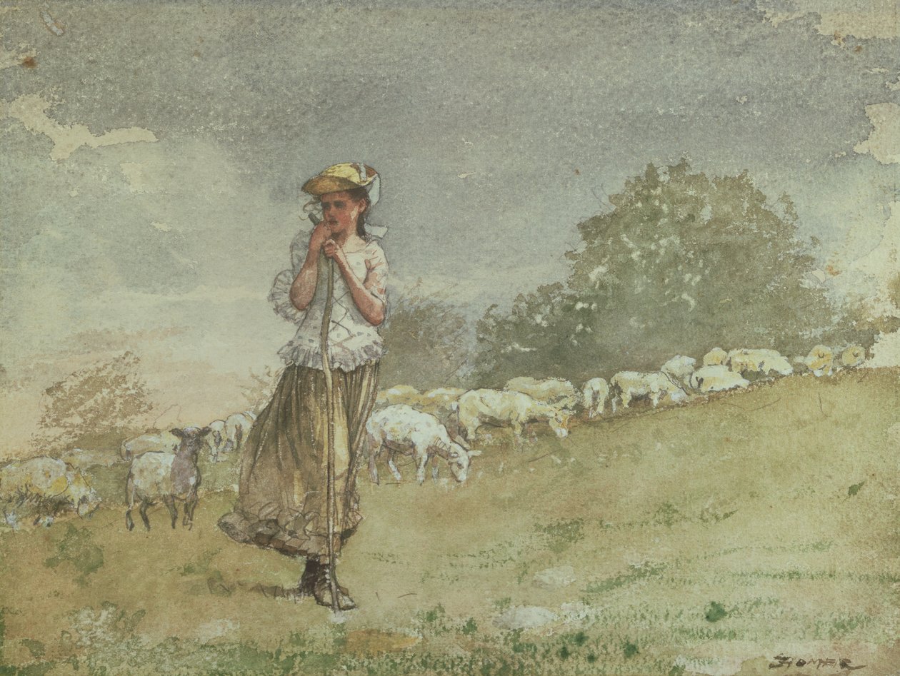 भेड़, ह्यूटन फार्म, c.1878-79 द्वारा विंसलो होमर